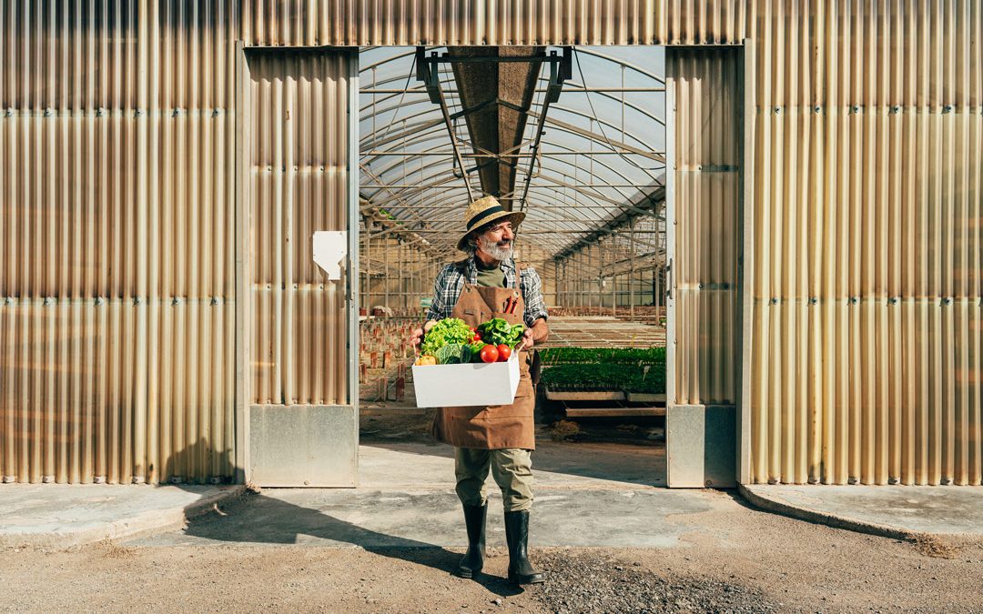 Custom Agricultural Buildings in Oklahoma and Arkansas: What Farmers Should Know