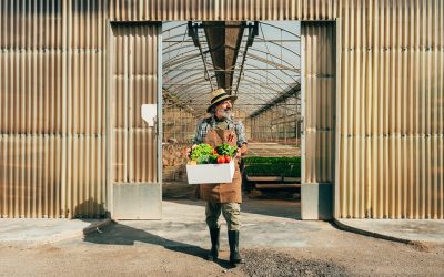 Custom Agricultural Buildings in Oklahoma and Arkansas: What Farmers Should Know