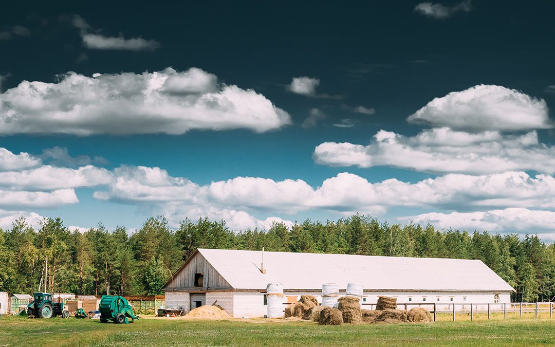 What Is a Monitor Barn? Everything Oklahoma Landowners Need to Know