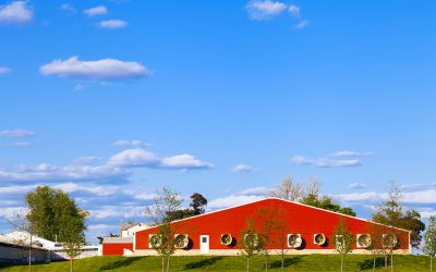 How Much Does It Really Cost to Build a Pole Barn in Oklahoma?